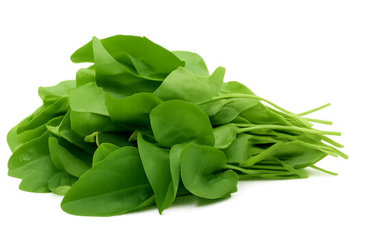 Sorrel