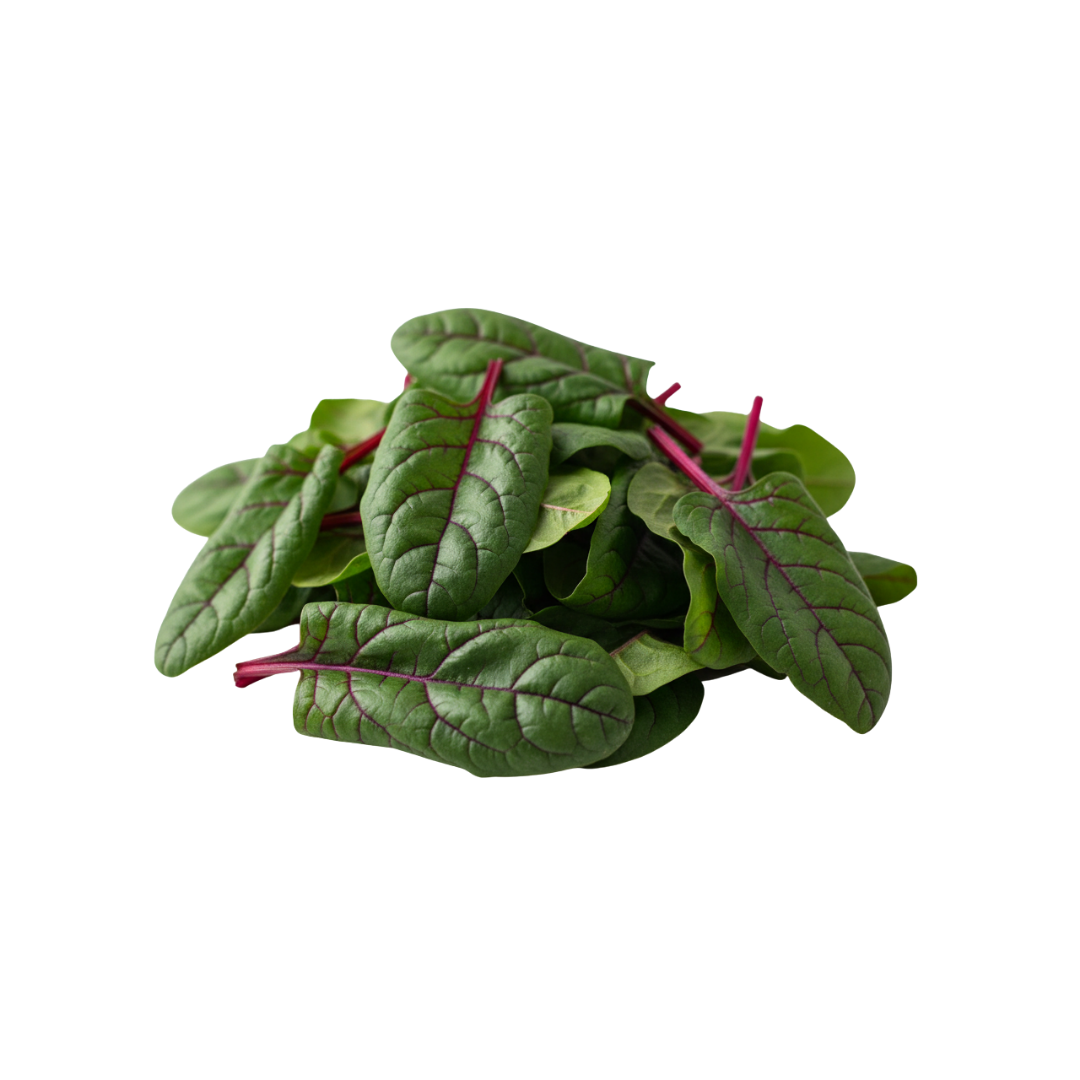 Spinach - Red