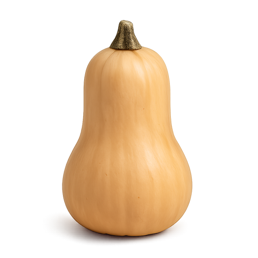 Squash - Butternut