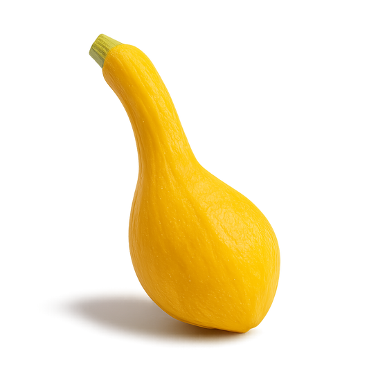 Squash - Yellow Crookneck