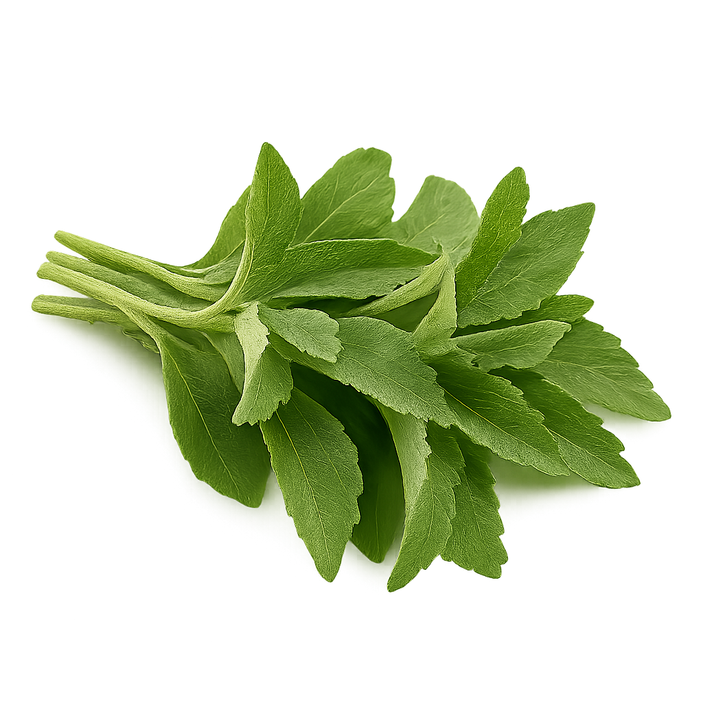 Stevia