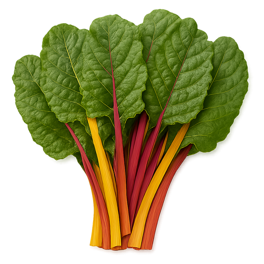 Swiss Chard - Rainbow
