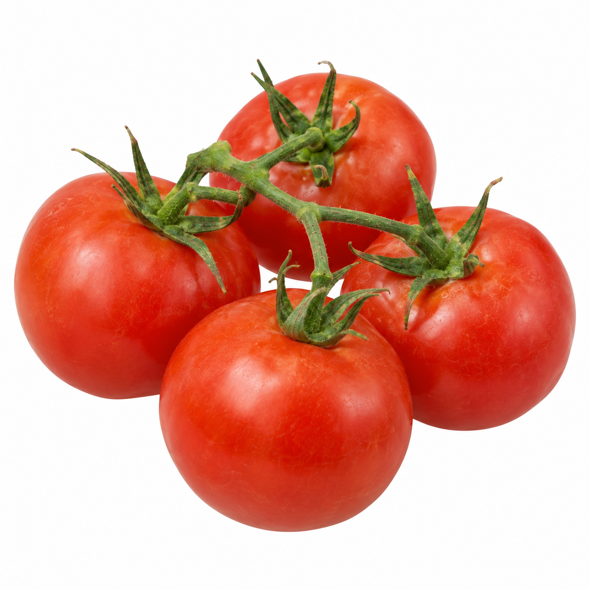 Tomato - Medium (Determinate)