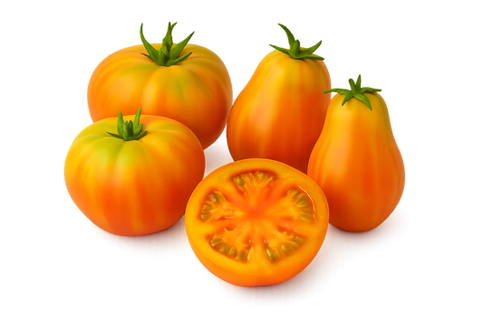 Tomato - Striped Heirloom