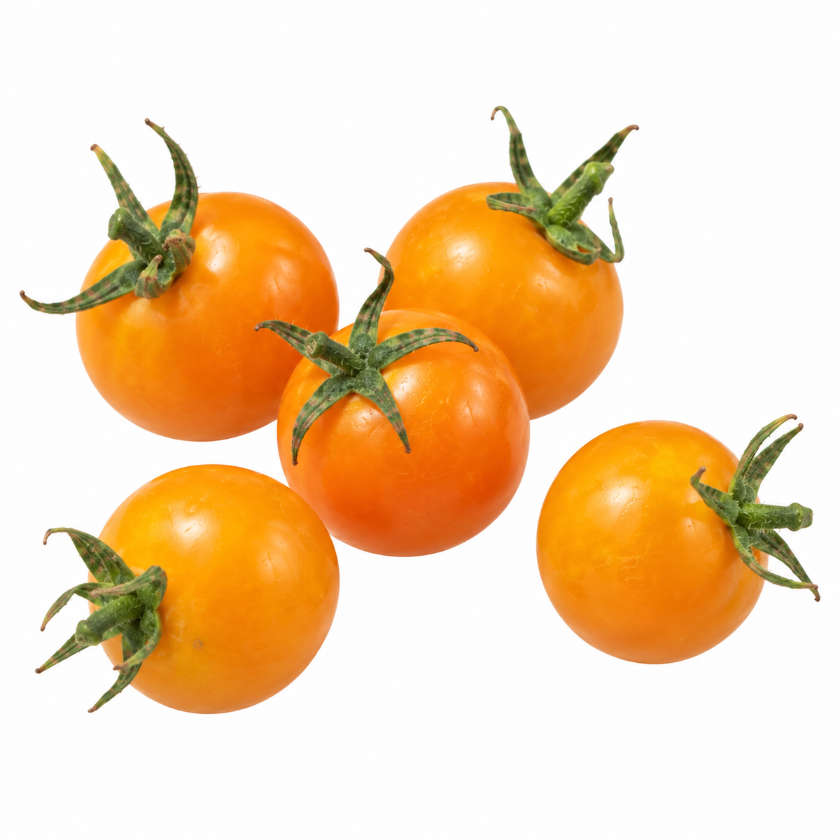 Tomato - Yellow Cherry (Sun Gold)