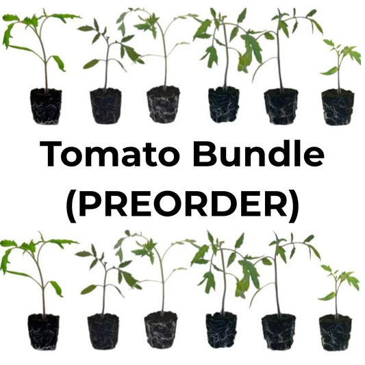 Tomato Bundle (PREORDER)