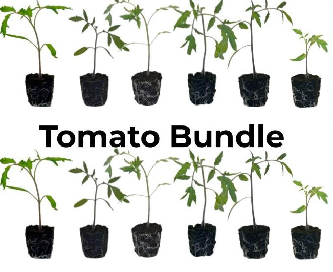 Tomato Bundle