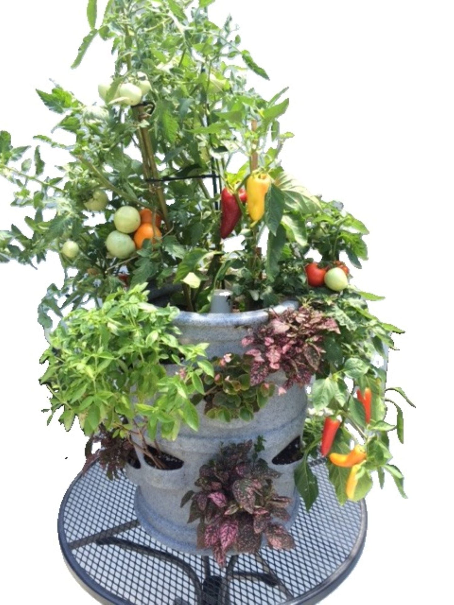 Planter - Patio Pocket with Wheels Combo