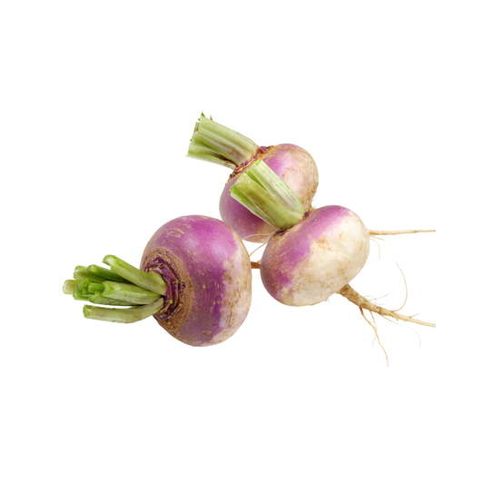 Turnip