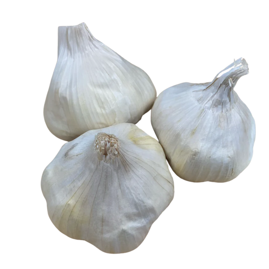 Garlic - Common Softneck