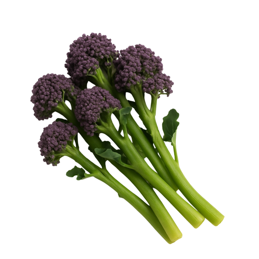 Broccolini - Purple
