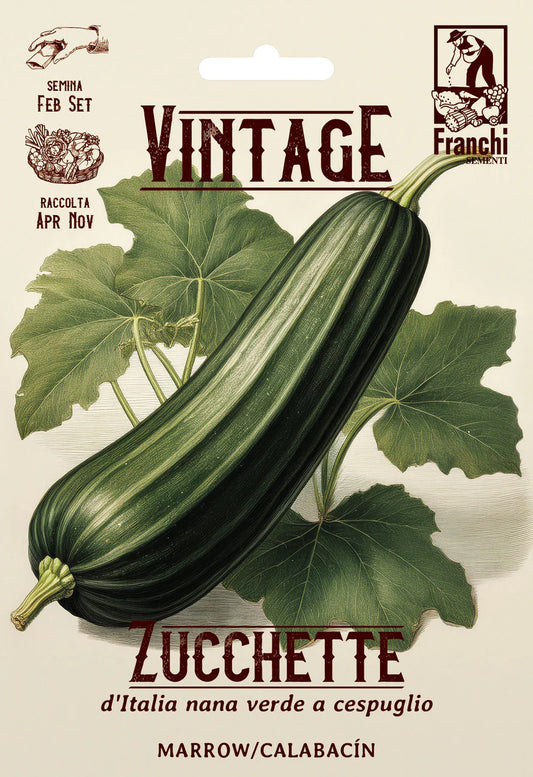 Seeds - Zucchini