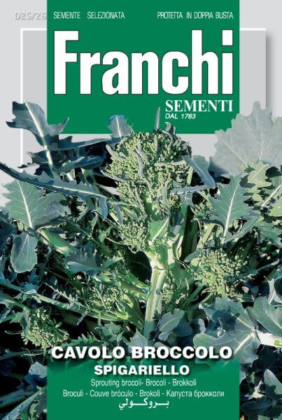 Seeds - Leaf Broccoli (Spigariello / Friarielli)