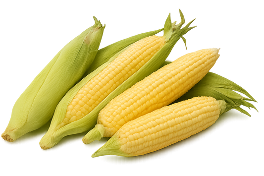 Corn
