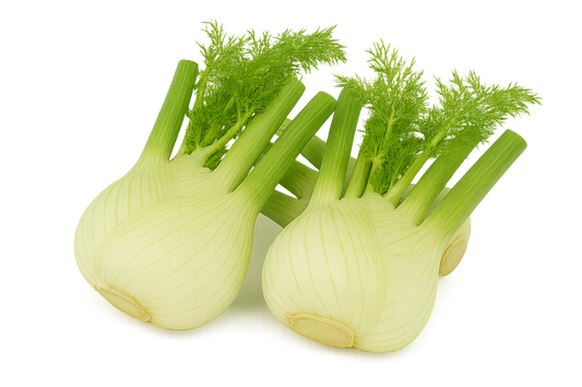 Fennel