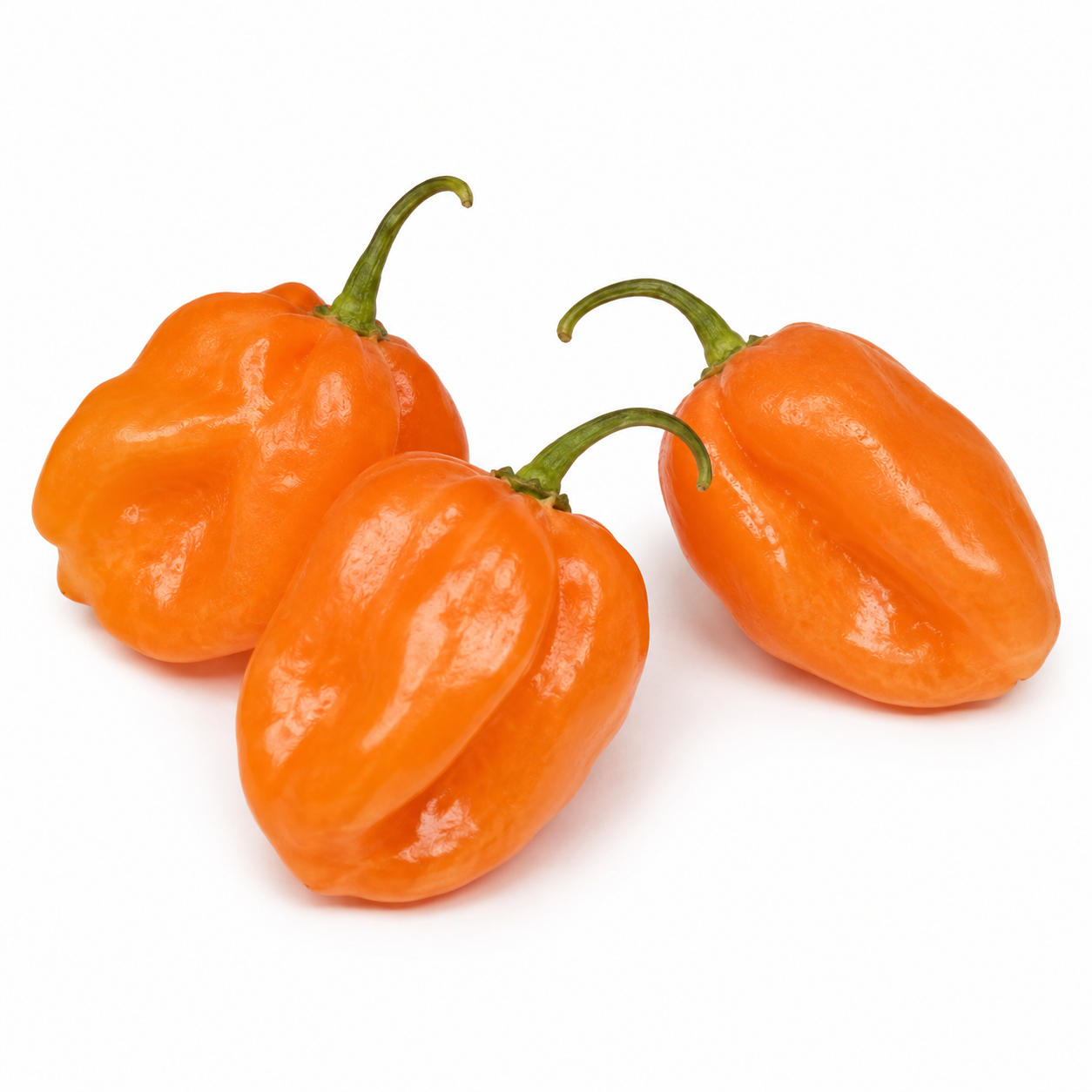 Pepper - Habanero