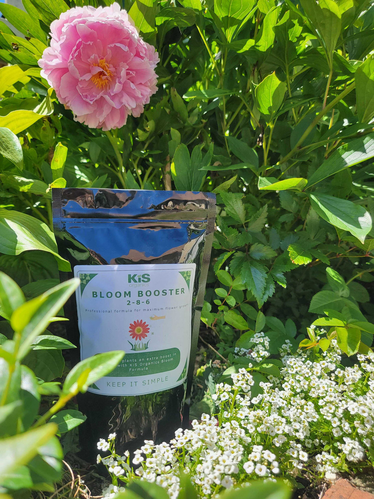Fertilizer – Bloom Booster 2-8-6 (KiS Organics)