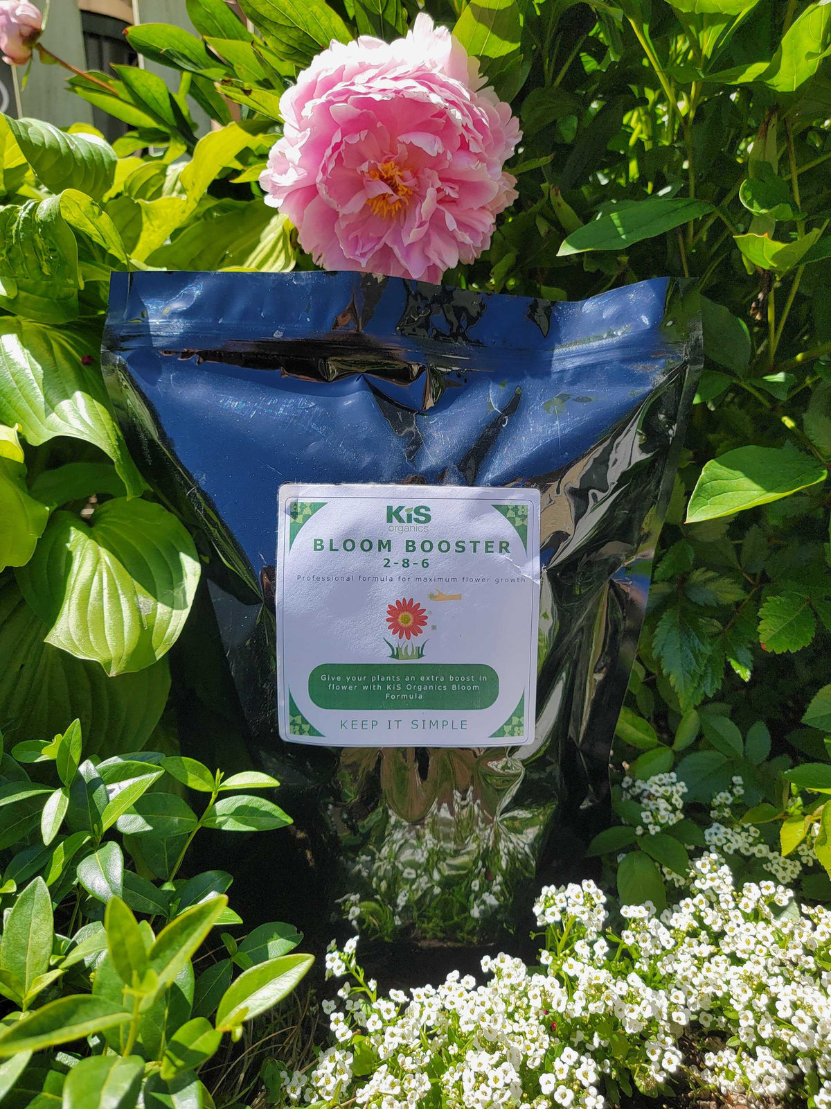 Fertilizer – Bloom Booster 2-8-6 (KiS Organics)