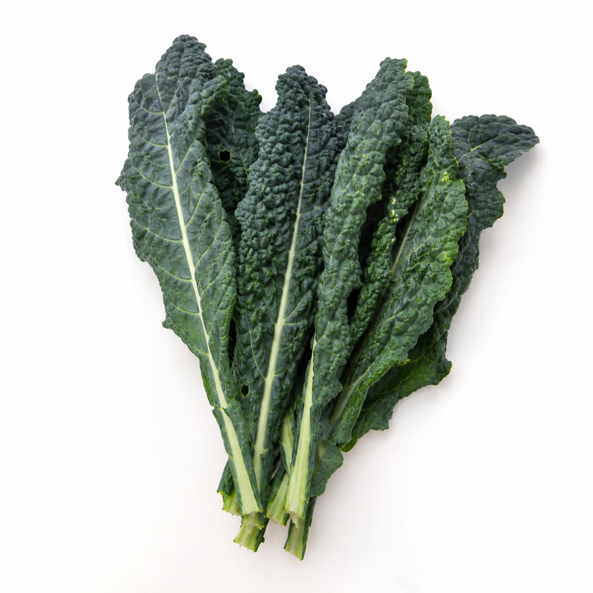 Kale - Lacinato