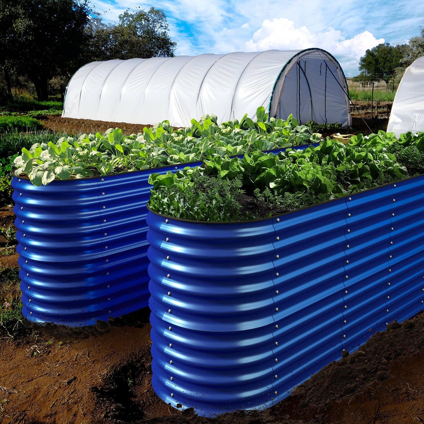 Raised Bed - Metal (32" Tall, 12-in-1)