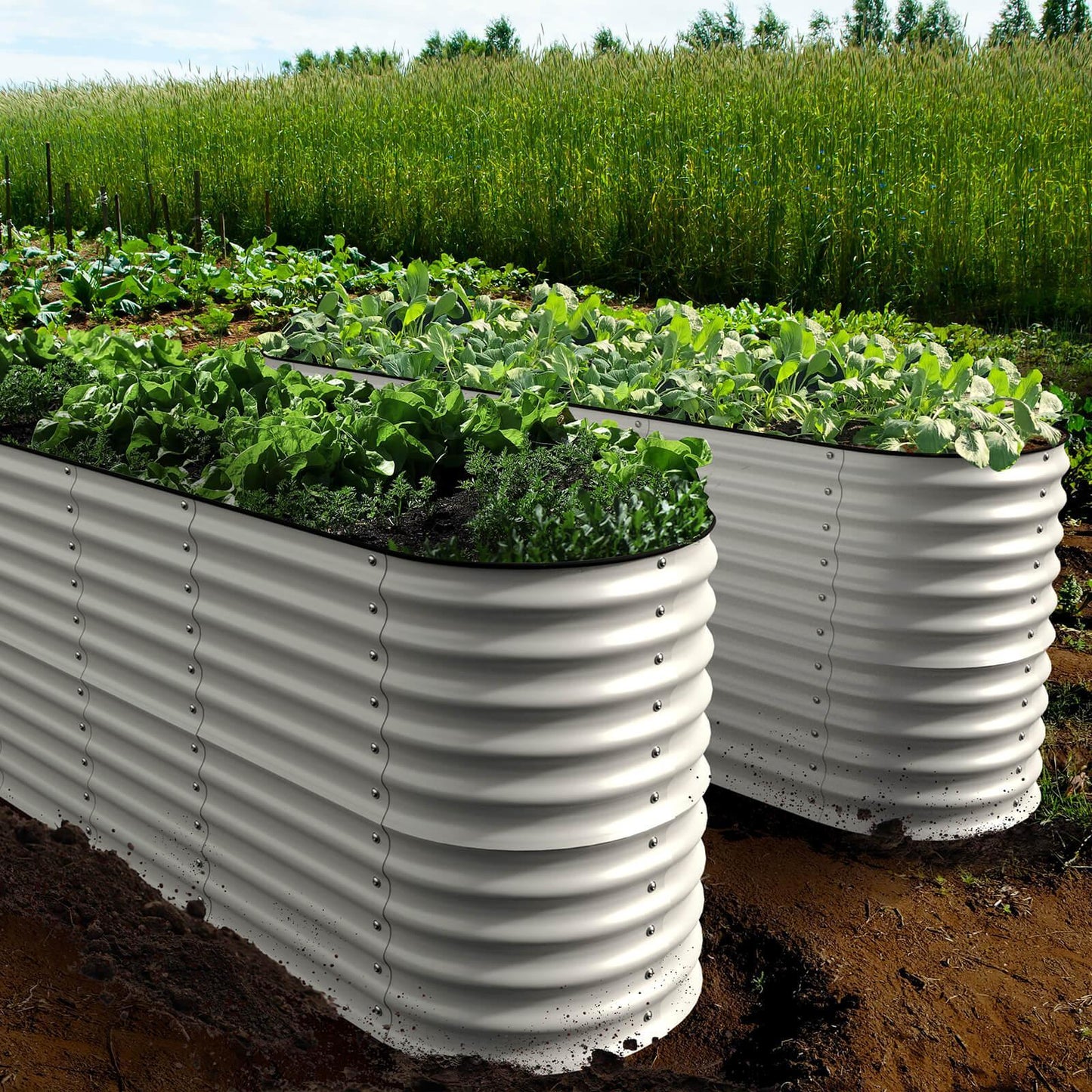 Raised Bed - Metal (32" Tall, 12-in-1)