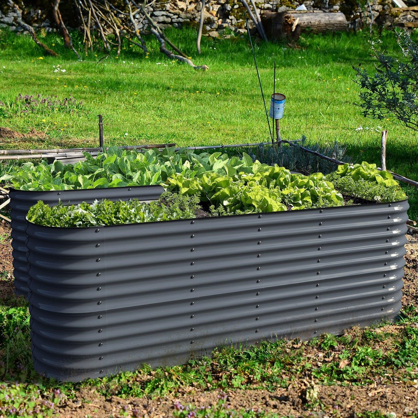 Raised Bed - Metal (32" Tall, 12-in-1)