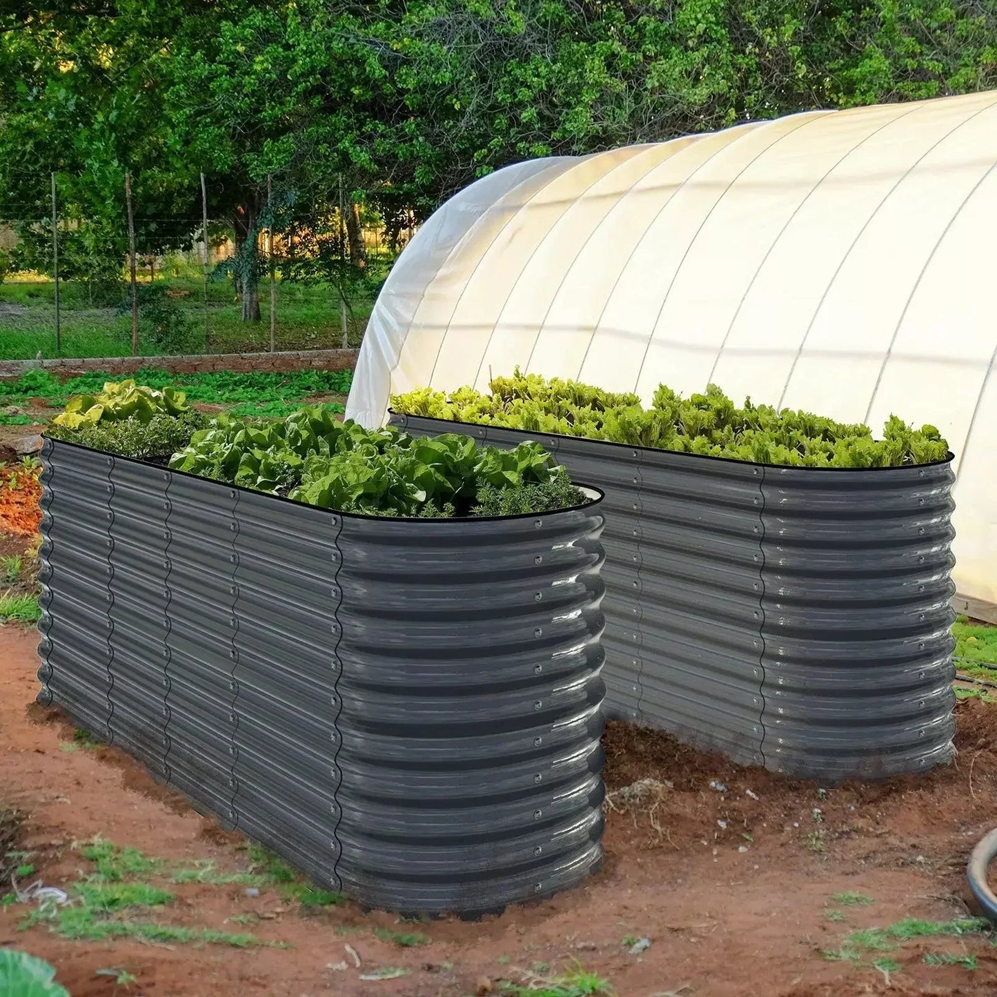 Raised Bed - Metal (32" Tall, 12-in-1)