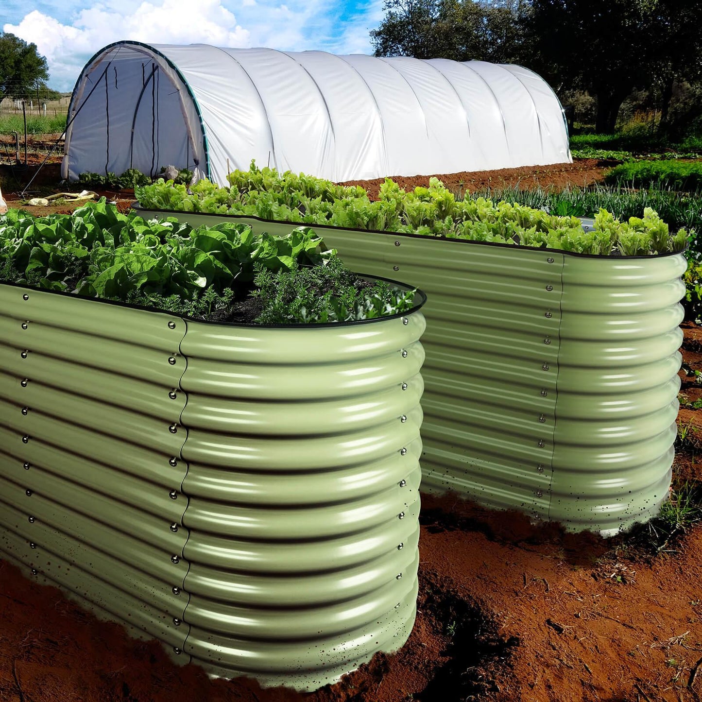 Raised Bed - Metal (32" Tall, 12-in-1)