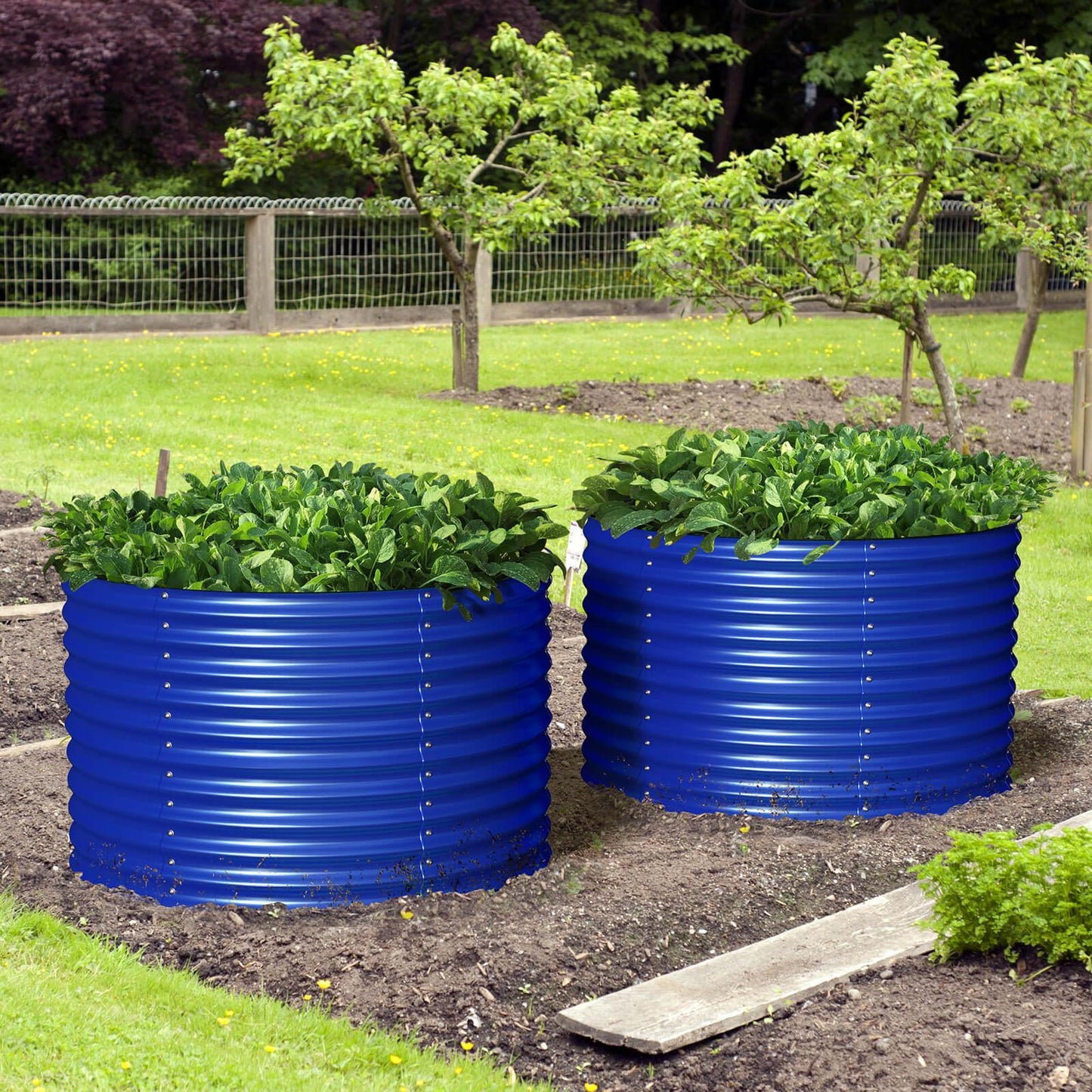 Raised Bed - Metal (32" Tall x 42", Round Bed)