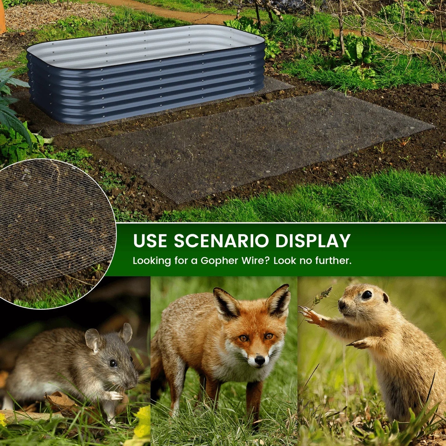 Gopher Netting - Galvanized Steel