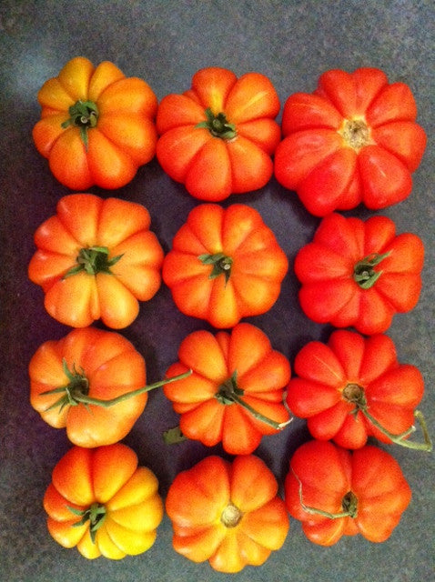 Seeds - Tomato (Costoluto Fiorentino)