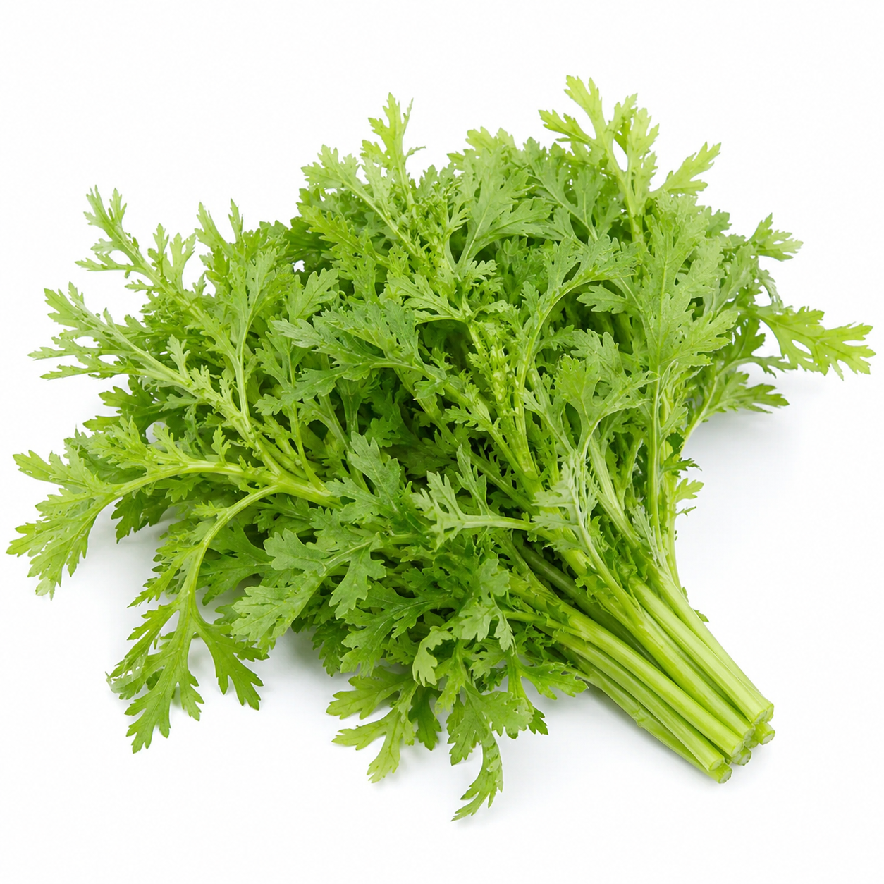 Shungiku