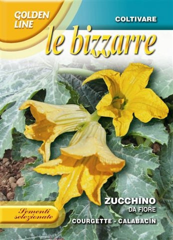 Seeds - Zucchini (Edible Flower / Zucchino da Fiore)
